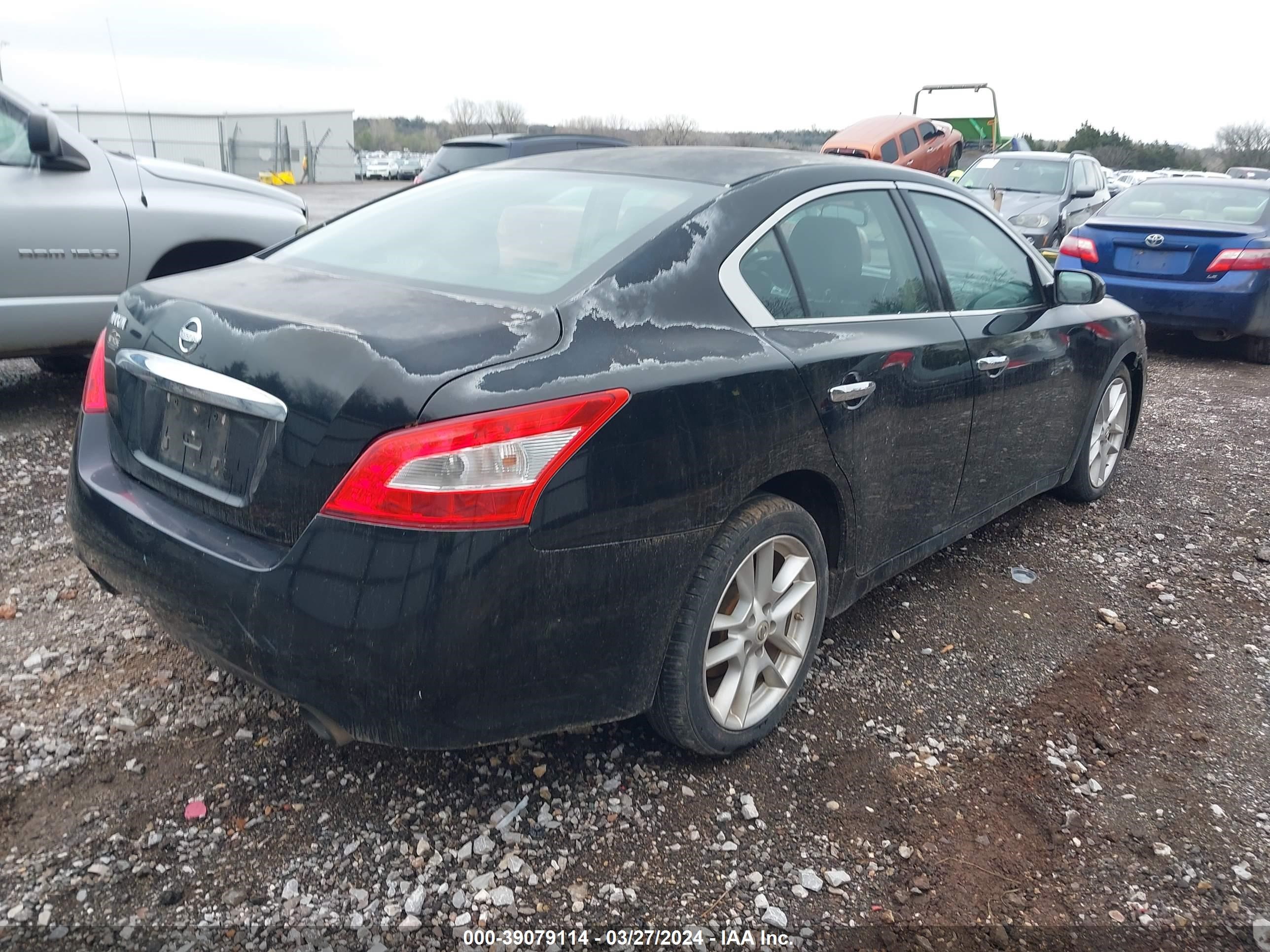 Photo 3 VIN: 1N4AA51E19C835969 - NISSAN MAXIMA 