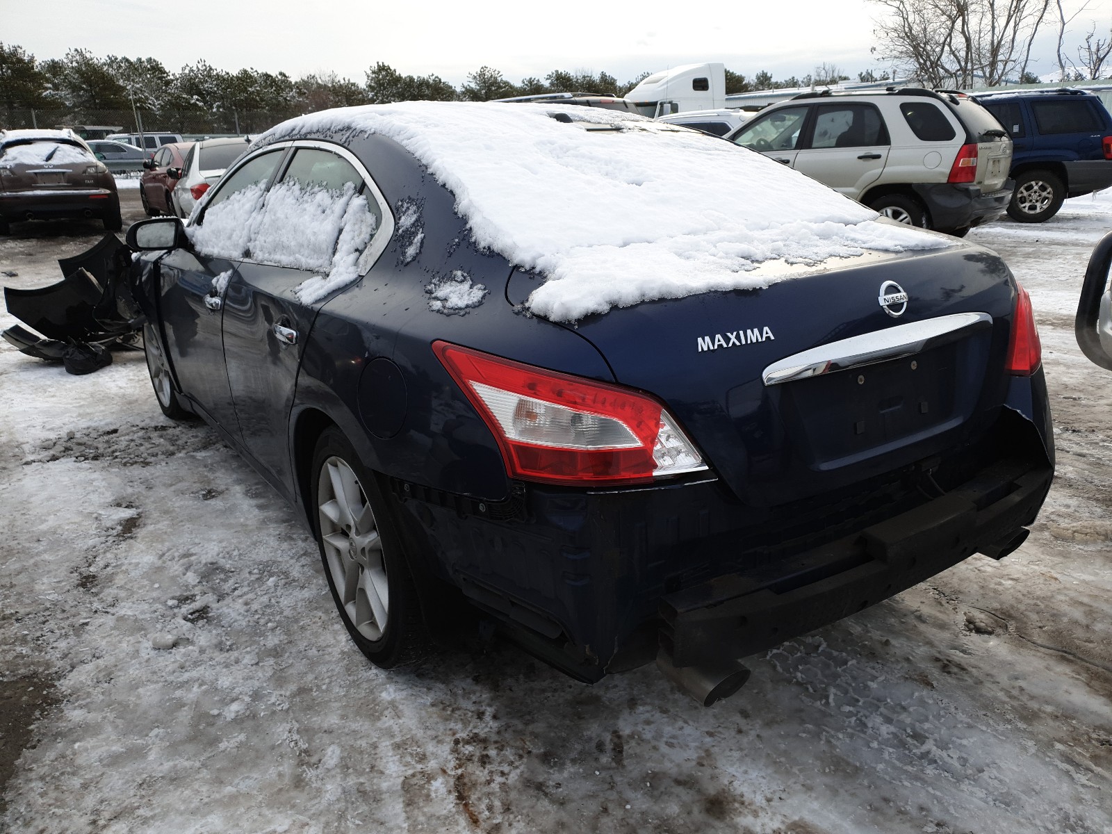 Photo 2 VIN: 1N4AA51E19C851668 - NISSAN MAXIMA S 