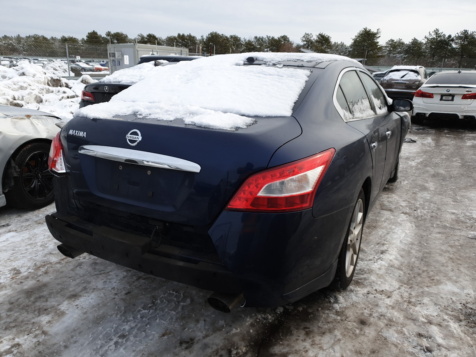 Photo 3 VIN: 1N4AA51E19C851668 - NISSAN MAXIMA S 