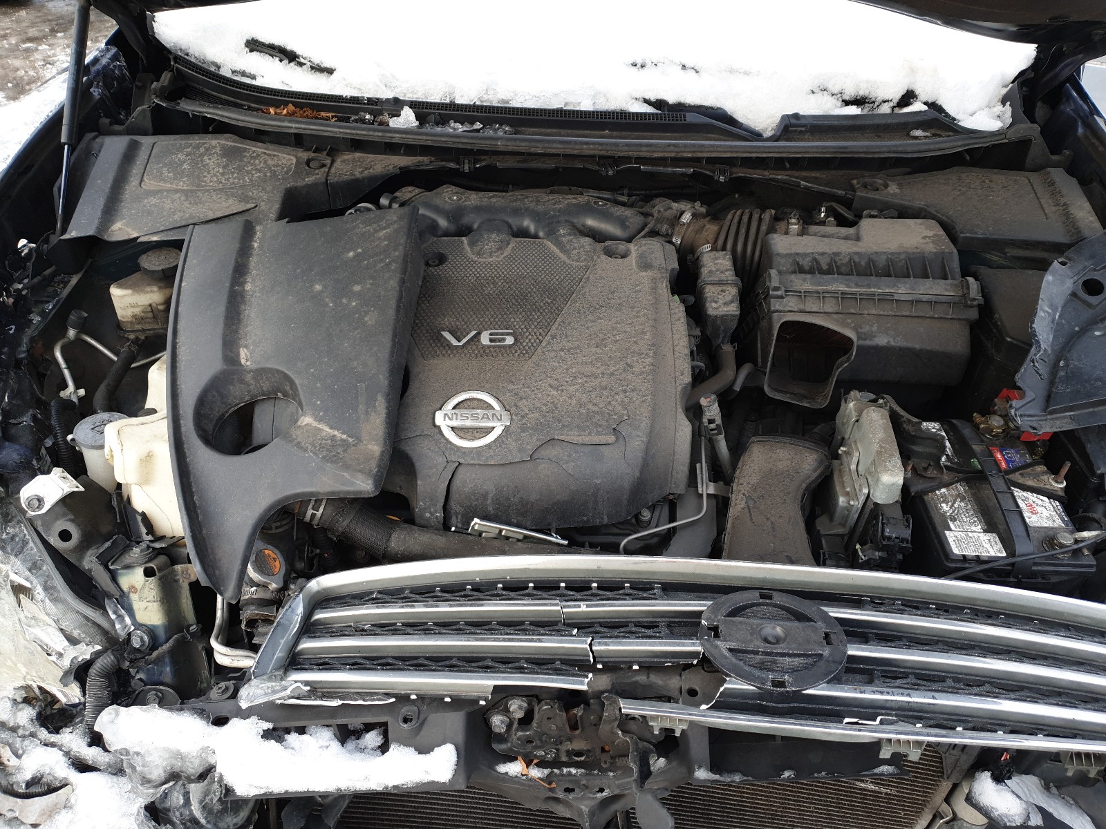 Photo 6 VIN: 1N4AA51E19C851668 - NISSAN MAXIMA S 