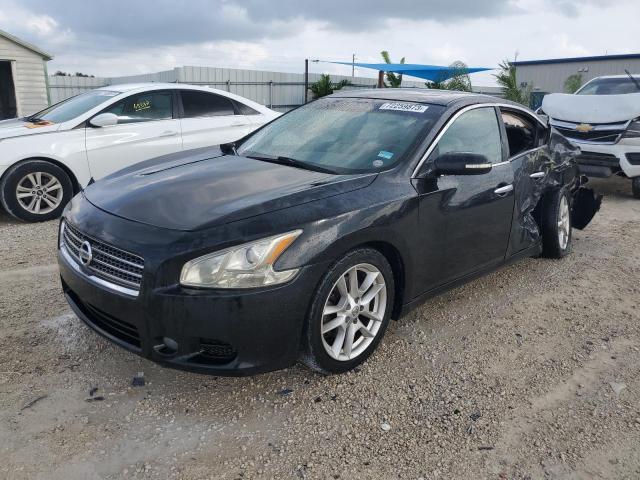 Photo 0 VIN: 1N4AA51E19C856305 - NISSAN MAXIMA 