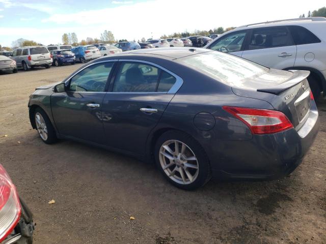 Photo 1 VIN: 1N4AA51E19C857924 - NISSAN MAXIMA 