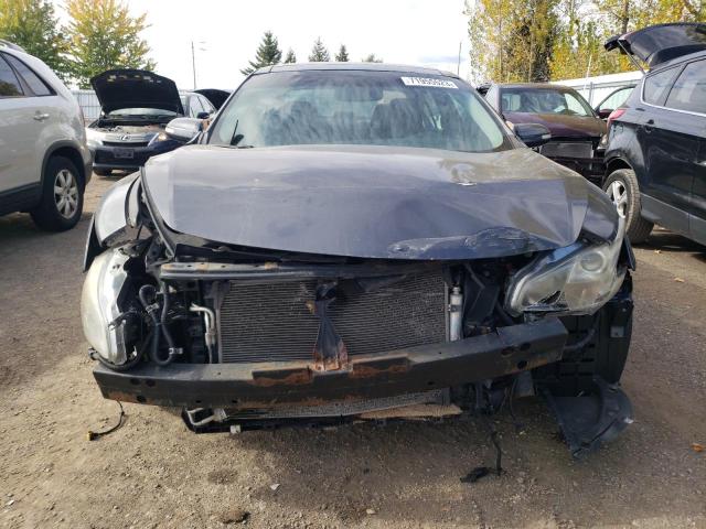 Photo 4 VIN: 1N4AA51E19C857924 - NISSAN MAXIMA 