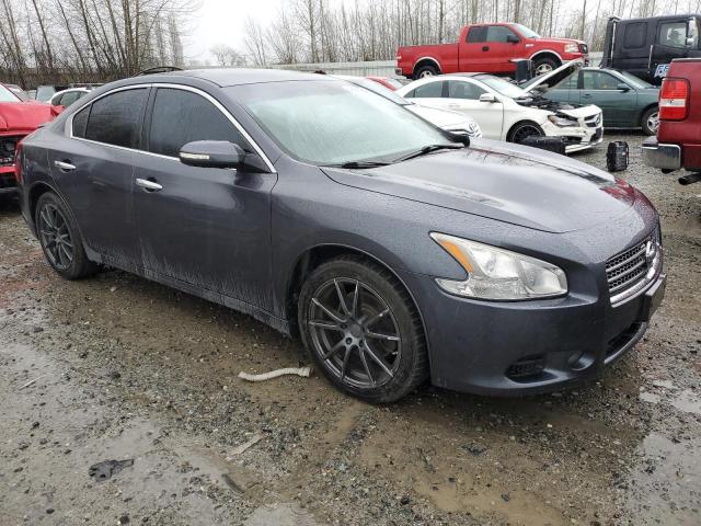 Photo 3 VIN: 1N4AA51E29C800650 - NISSAN MAXIMA 