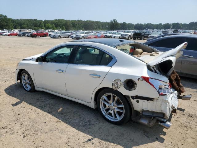 Photo 1 VIN: 1N4AA51E29C801149 - NISSAN MAXIMA S 