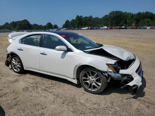 Photo 3 VIN: 1N4AA51E29C801149 - NISSAN MAXIMA S 