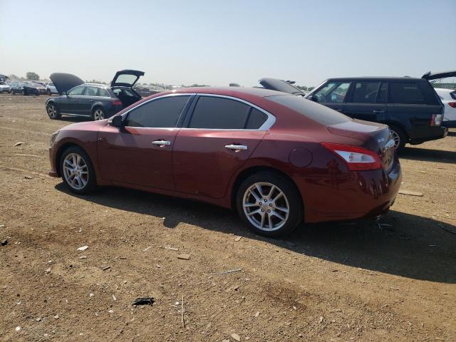 Photo 1 VIN: 1N4AA51E29C806691 - NISSAN MAXIMA S 