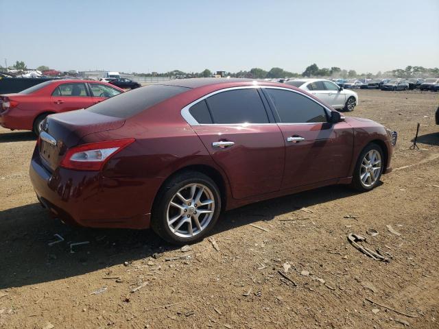 Photo 2 VIN: 1N4AA51E29C806691 - NISSAN MAXIMA S 