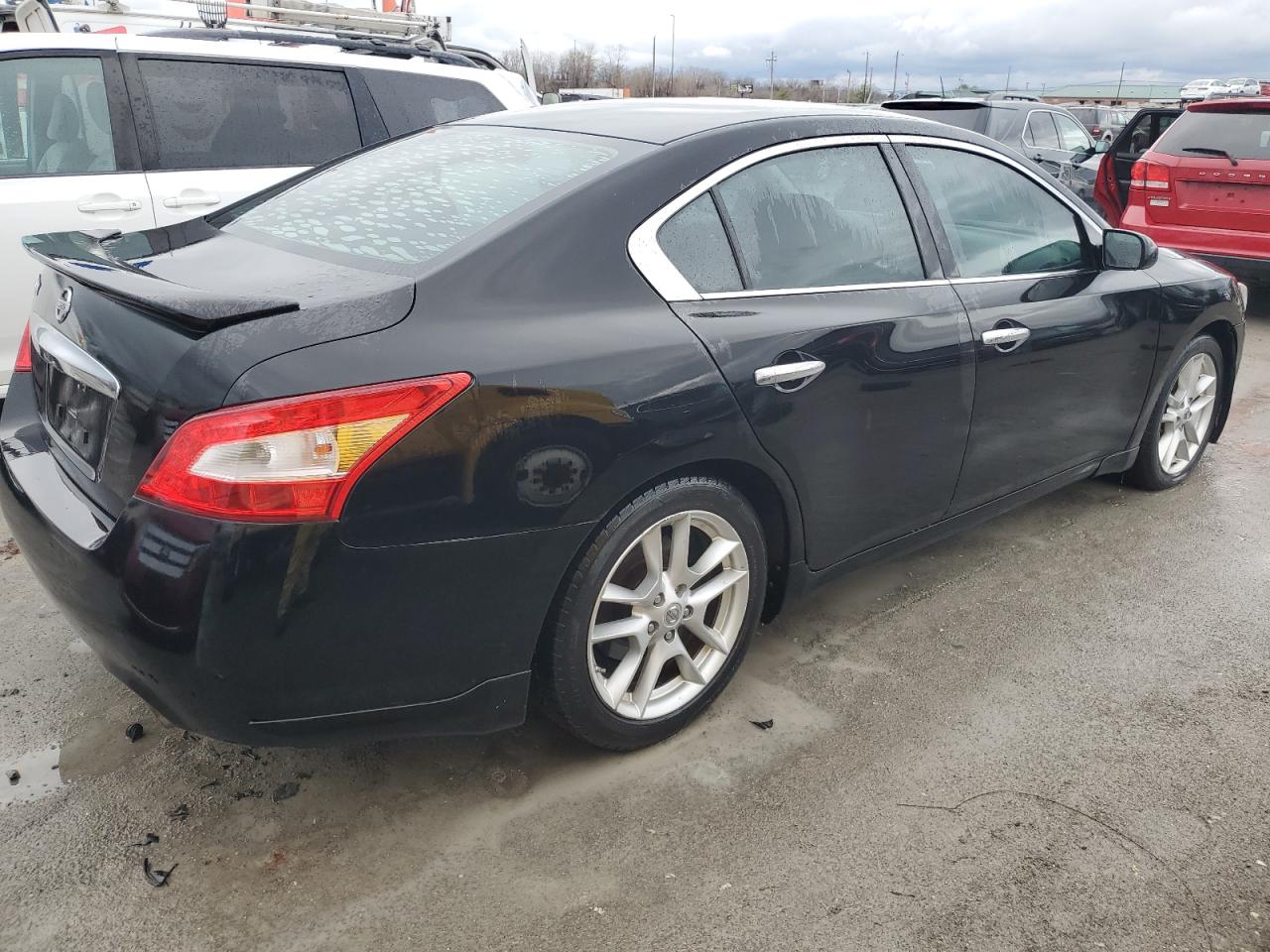 Photo 2 VIN: 1N4AA51E29C823054 - NISSAN MAXIMA 