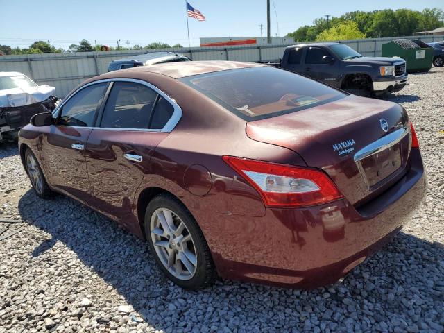 Photo 1 VIN: 1N4AA51E29C824298 - NISSAN MAXIMA 