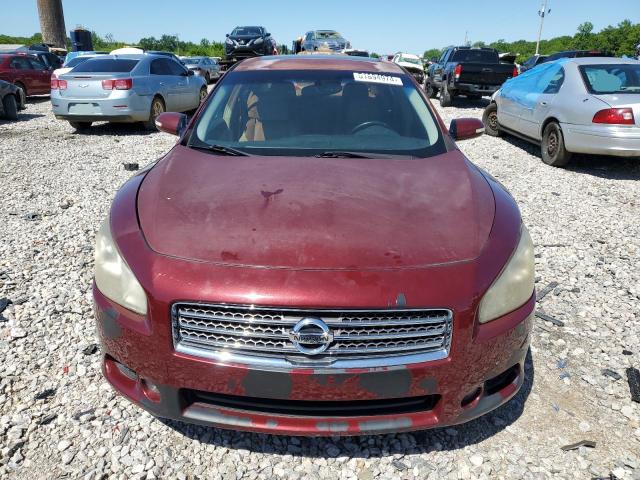 Photo 4 VIN: 1N4AA51E29C824298 - NISSAN MAXIMA 