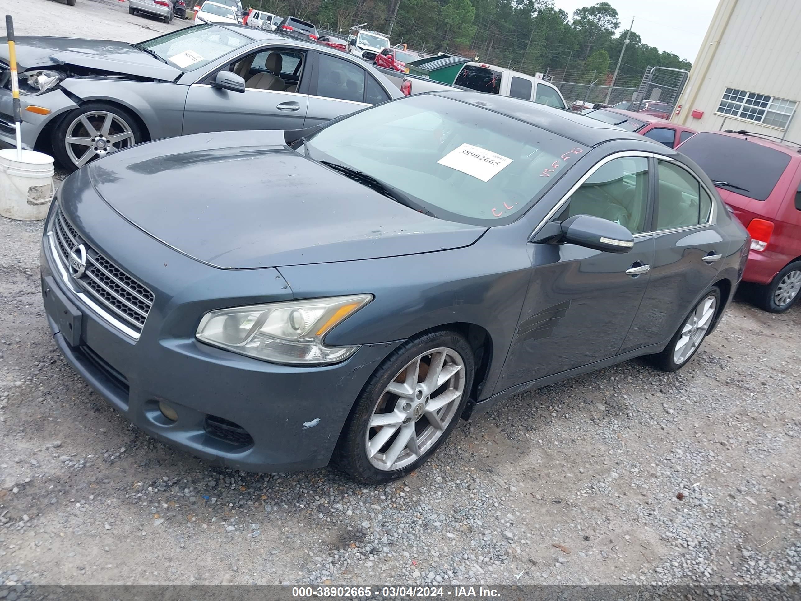 Photo 1 VIN: 1N4AA51E29C827122 - NISSAN MAXIMA 