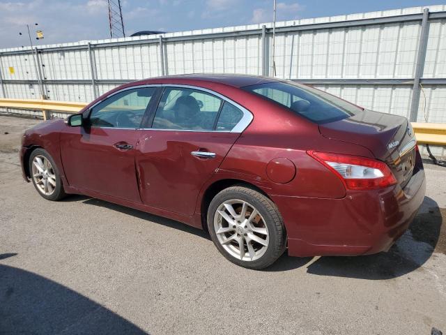 Photo 1 VIN: 1N4AA51E29C830179 - NISSAN MAXIMA S 