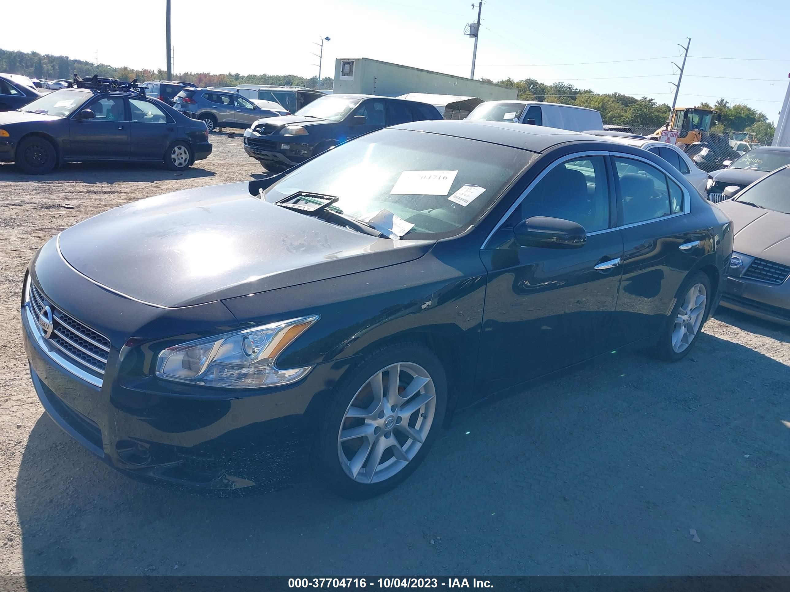 Photo 1 VIN: 1N4AA51E29C860945 - NISSAN MAXIMA 