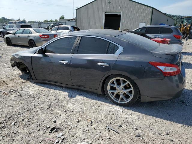 Photo 1 VIN: 1N4AA51E39C806506 - NISSAN MAXIMA S 