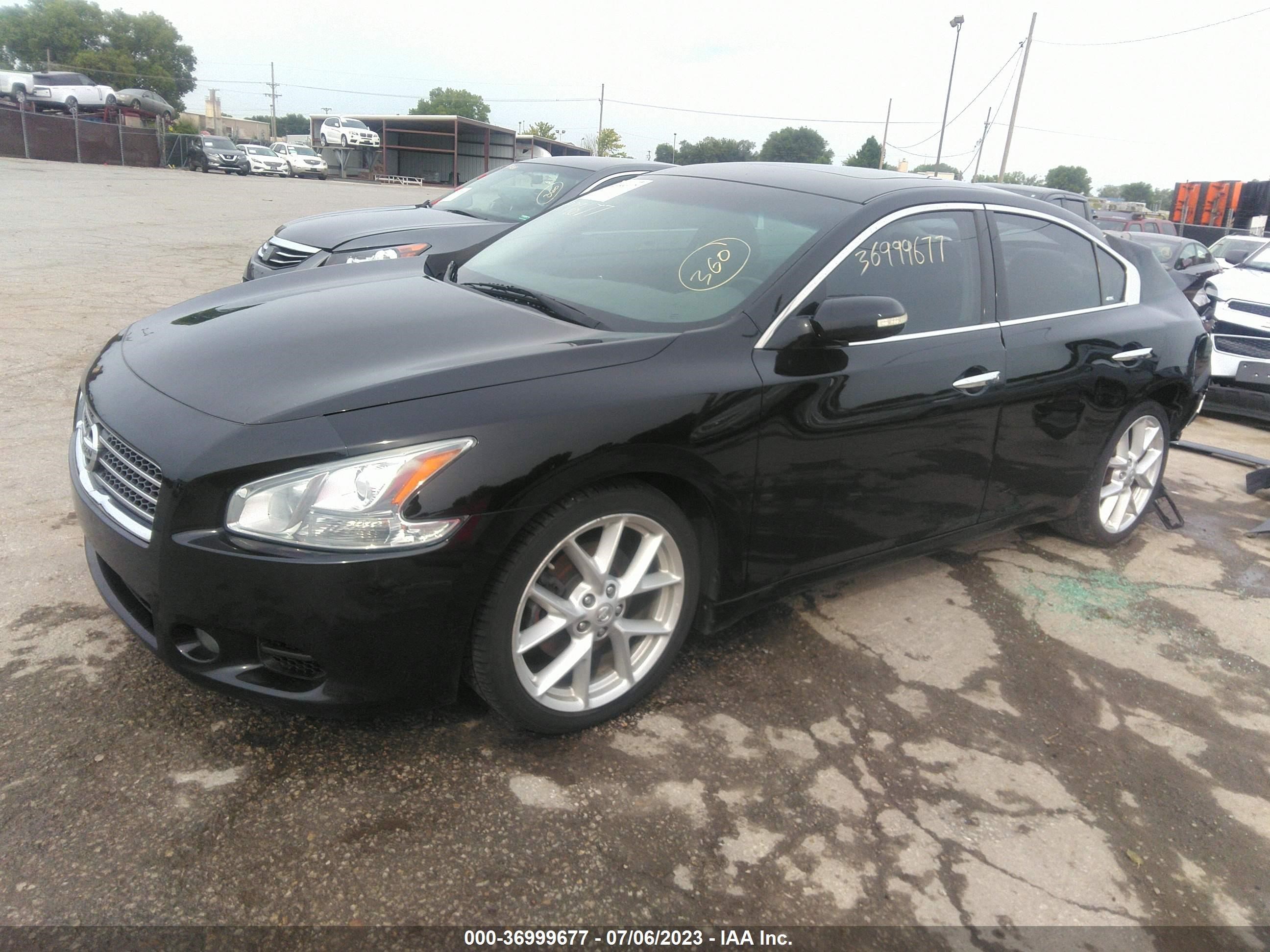 Photo 1 VIN: 1N4AA51E39C822446 - NISSAN MAXIMA 