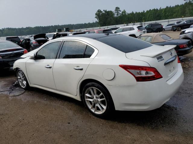 Photo 1 VIN: 1N4AA51E39C823225 - NISSAN MAXIMA 