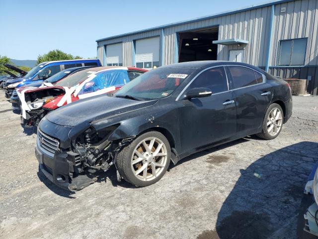 Photo 0 VIN: 1N4AA51E39C830692 - NISSAN MAXIMA S 