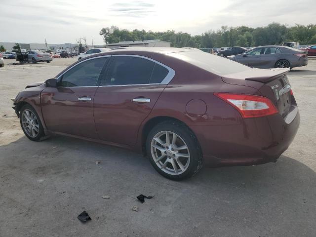 Photo 1 VIN: 1N4AA51E39C831695 - NISSAN MAXIMA 