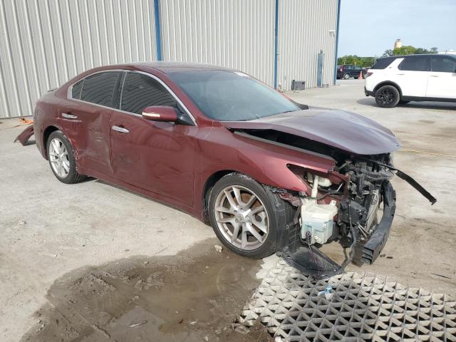 Photo 3 VIN: 1N4AA51E39C831695 - NISSAN MAXIMA 