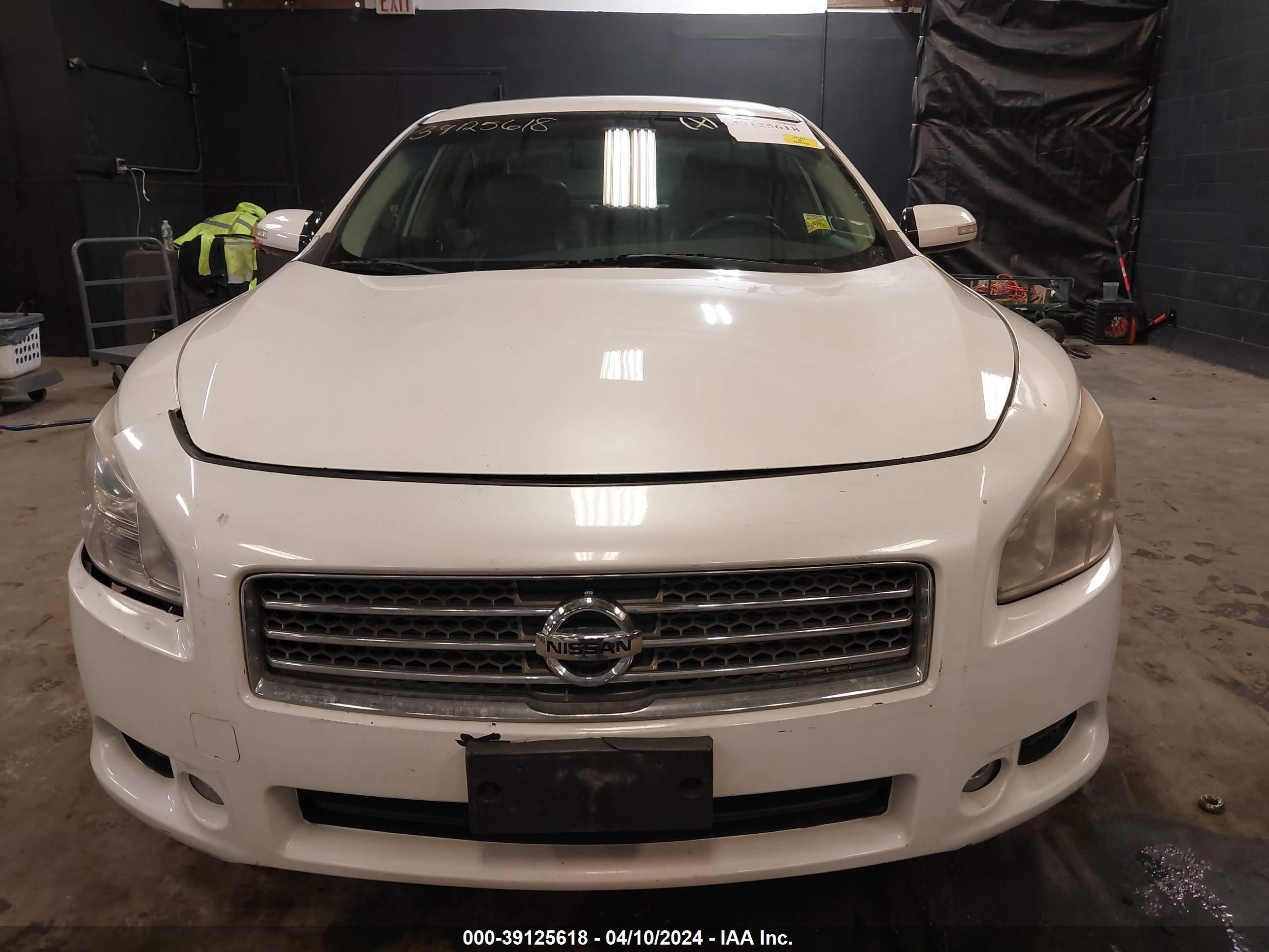 Photo 11 VIN: 1N4AA51E39C843023 - NISSAN MAXIMA 