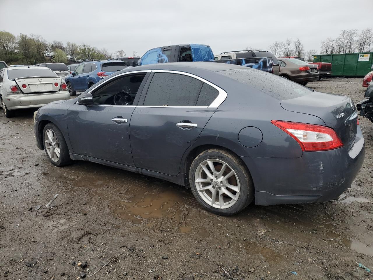 Photo 1 VIN: 1N4AA51E39C848724 - NISSAN MAXIMA 