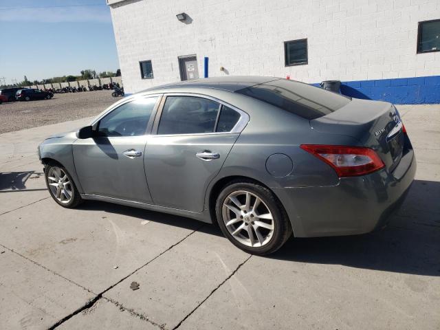 Photo 1 VIN: 1N4AA51E39C852353 - NISSAN MAXIMA 