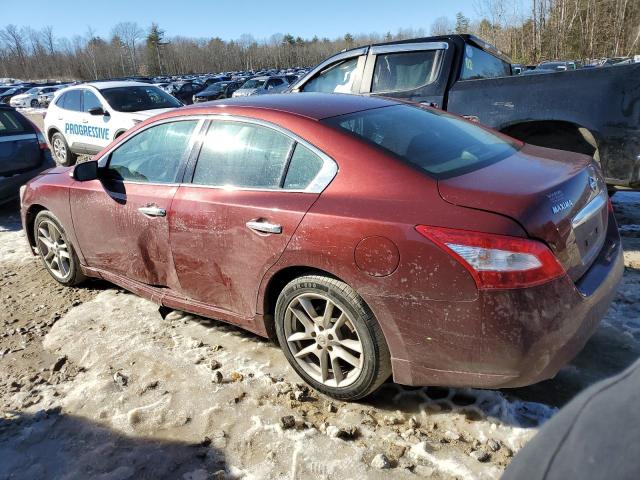 Photo 1 VIN: 1N4AA51E39C860503 - NISSAN MAXIMA 