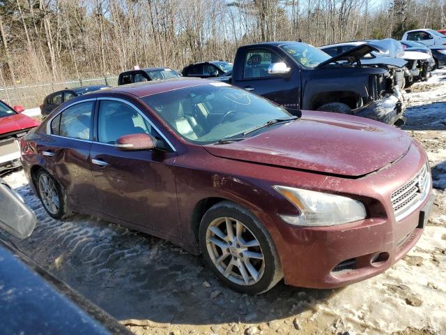 Photo 3 VIN: 1N4AA51E39C860503 - NISSAN MAXIMA 