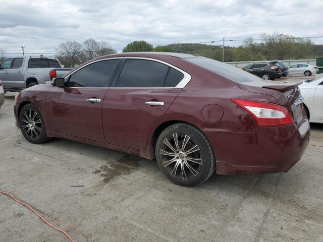 Photo 1 VIN: 1N4AA51E49C816722 - NISSAN MAXIMA 