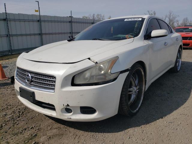 Photo 1 VIN: 1N4AA51E49C820009 - NISSAN MAXIMA S 