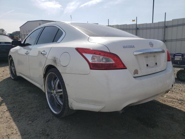 Photo 2 VIN: 1N4AA51E49C820009 - NISSAN MAXIMA S 