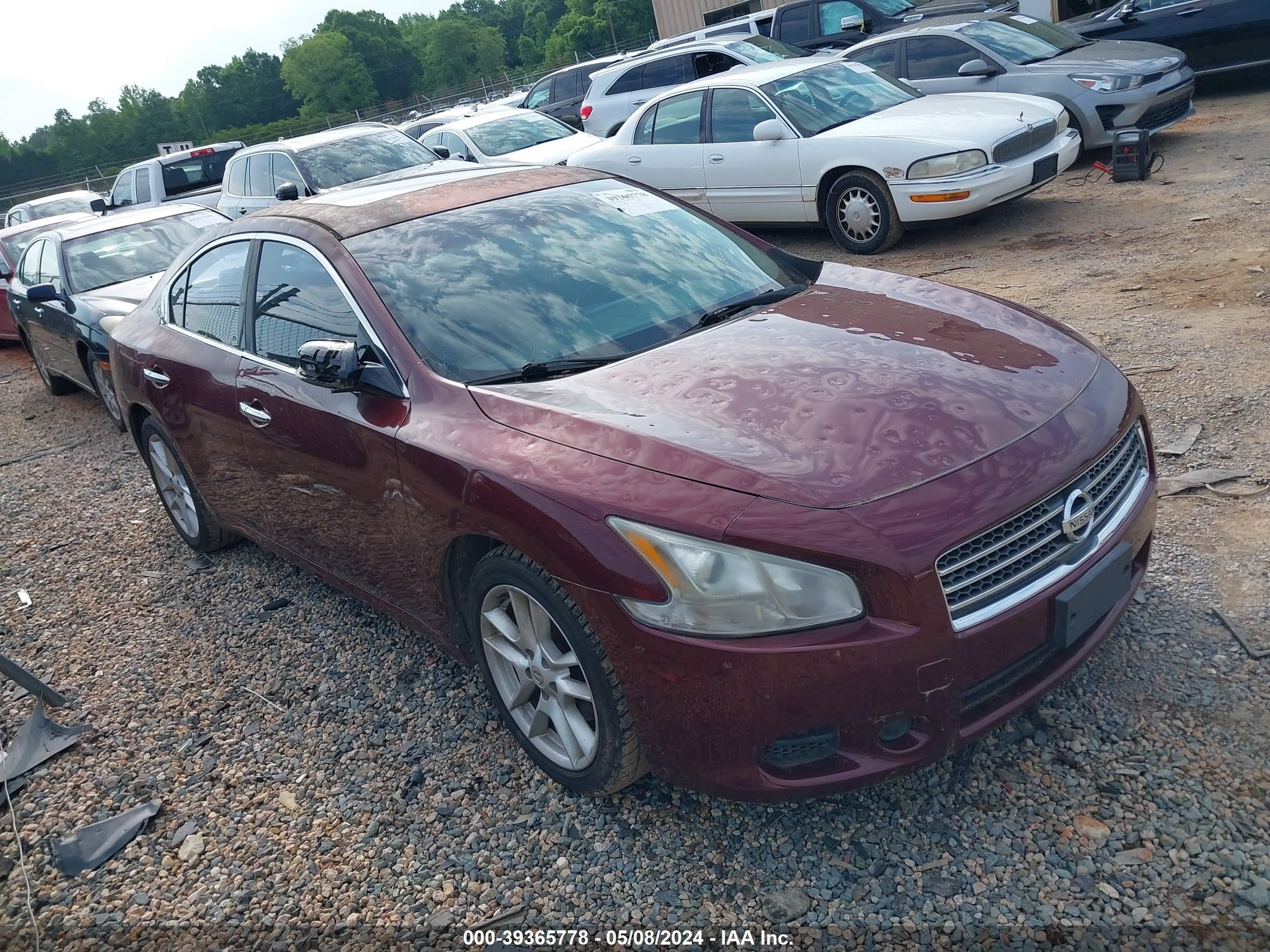 Photo 0 VIN: 1N4AA51E49C839515 - NISSAN MAXIMA 