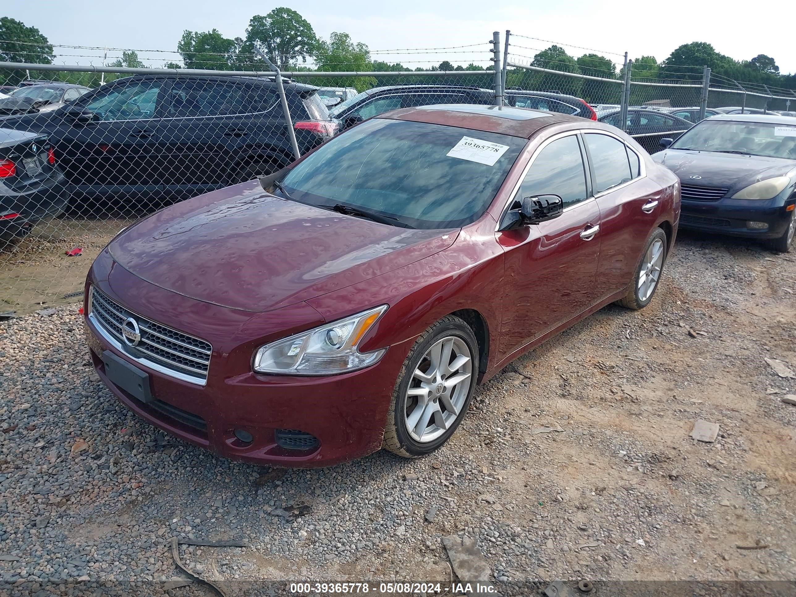 Photo 1 VIN: 1N4AA51E49C839515 - NISSAN MAXIMA 