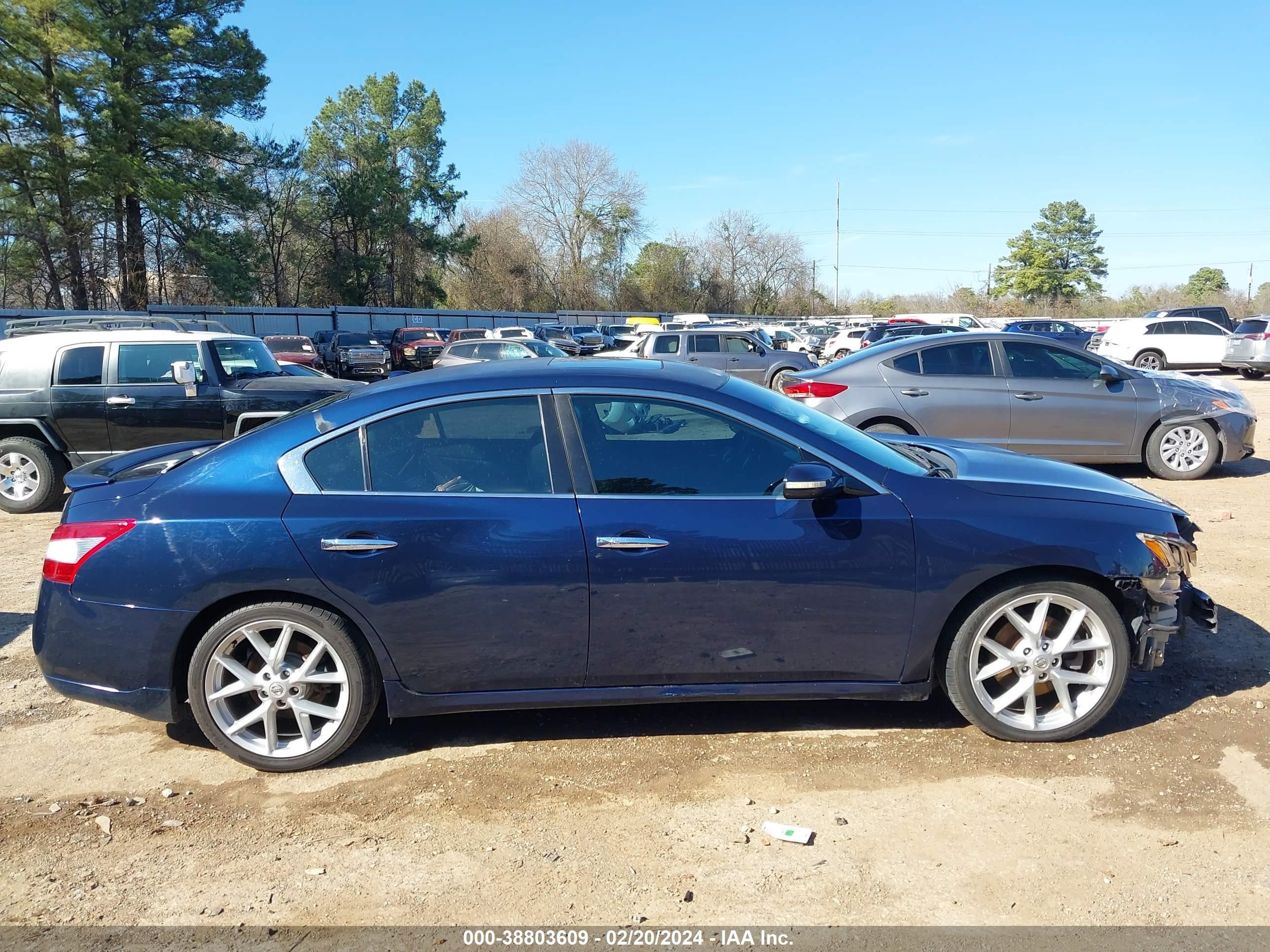 Photo 12 VIN: 1N4AA51E49C842818 - NISSAN MAXIMA 