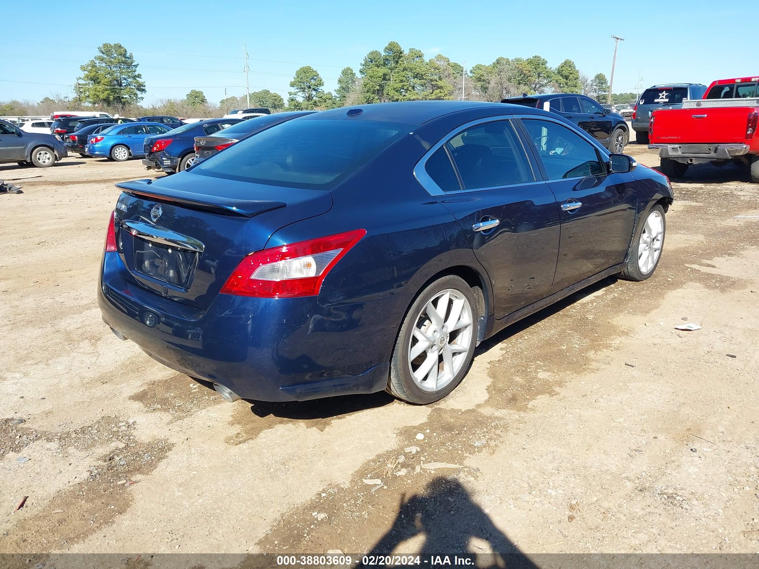 Photo 3 VIN: 1N4AA51E49C842818 - NISSAN MAXIMA 