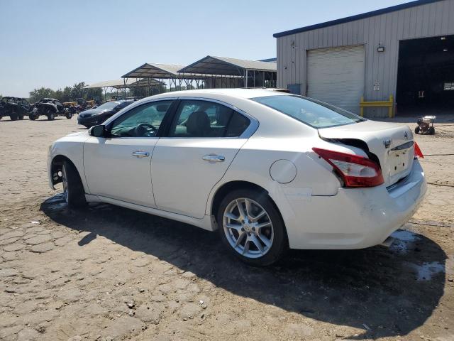 Photo 1 VIN: 1N4AA51E49C848554 - NISSAN MAXIMA S 