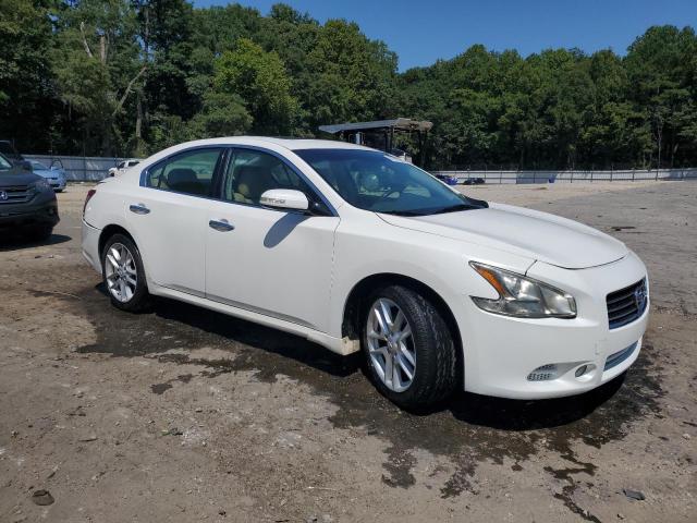 Photo 3 VIN: 1N4AA51E49C848554 - NISSAN MAXIMA S 