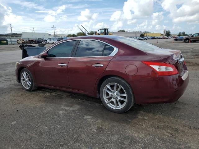 Photo 1 VIN: 1N4AA51E59C809603 - NISSAN MAXIMA 