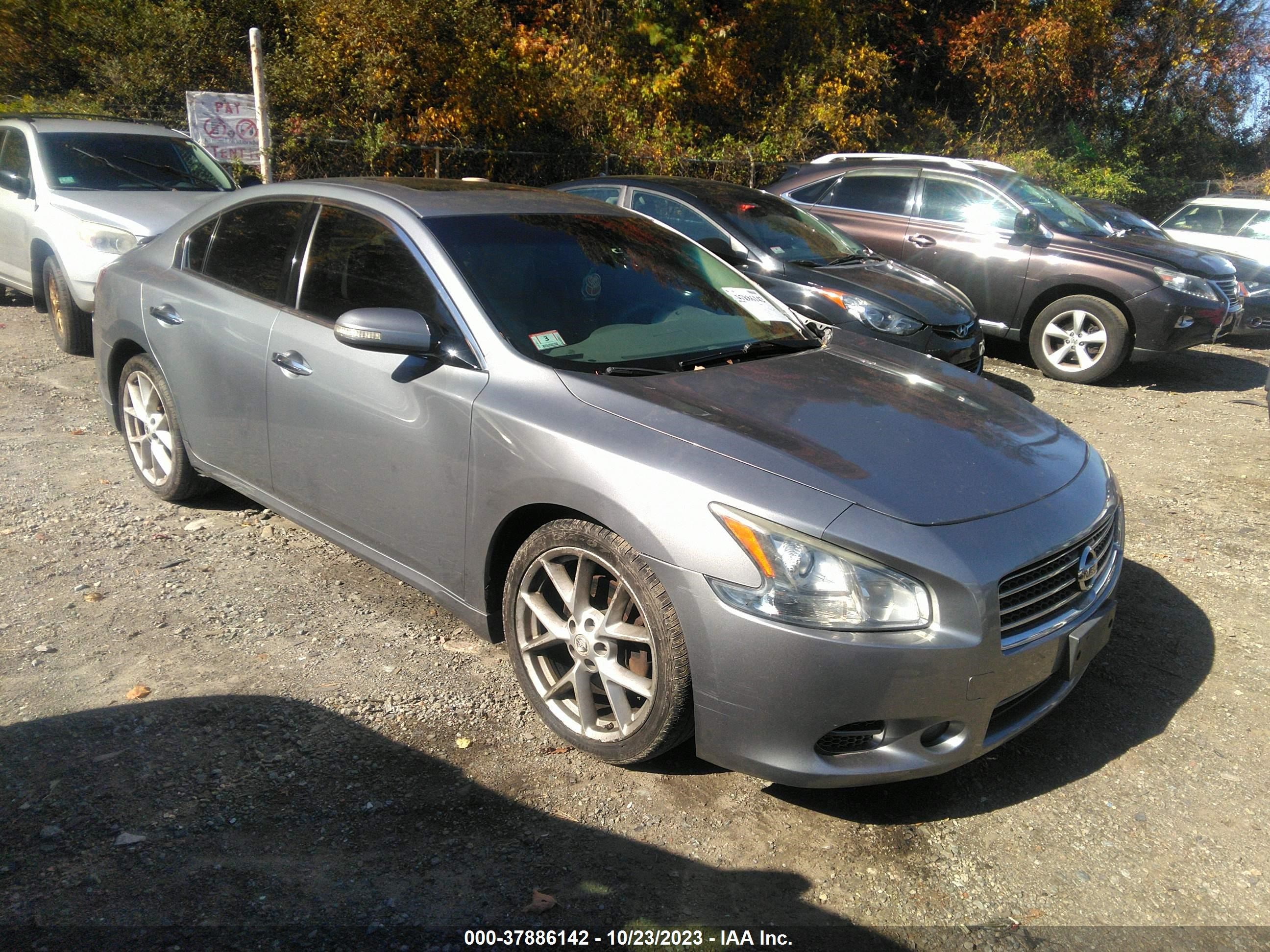 Photo 0 VIN: 1N4AA51E59C828930 - NISSAN MAXIMA 