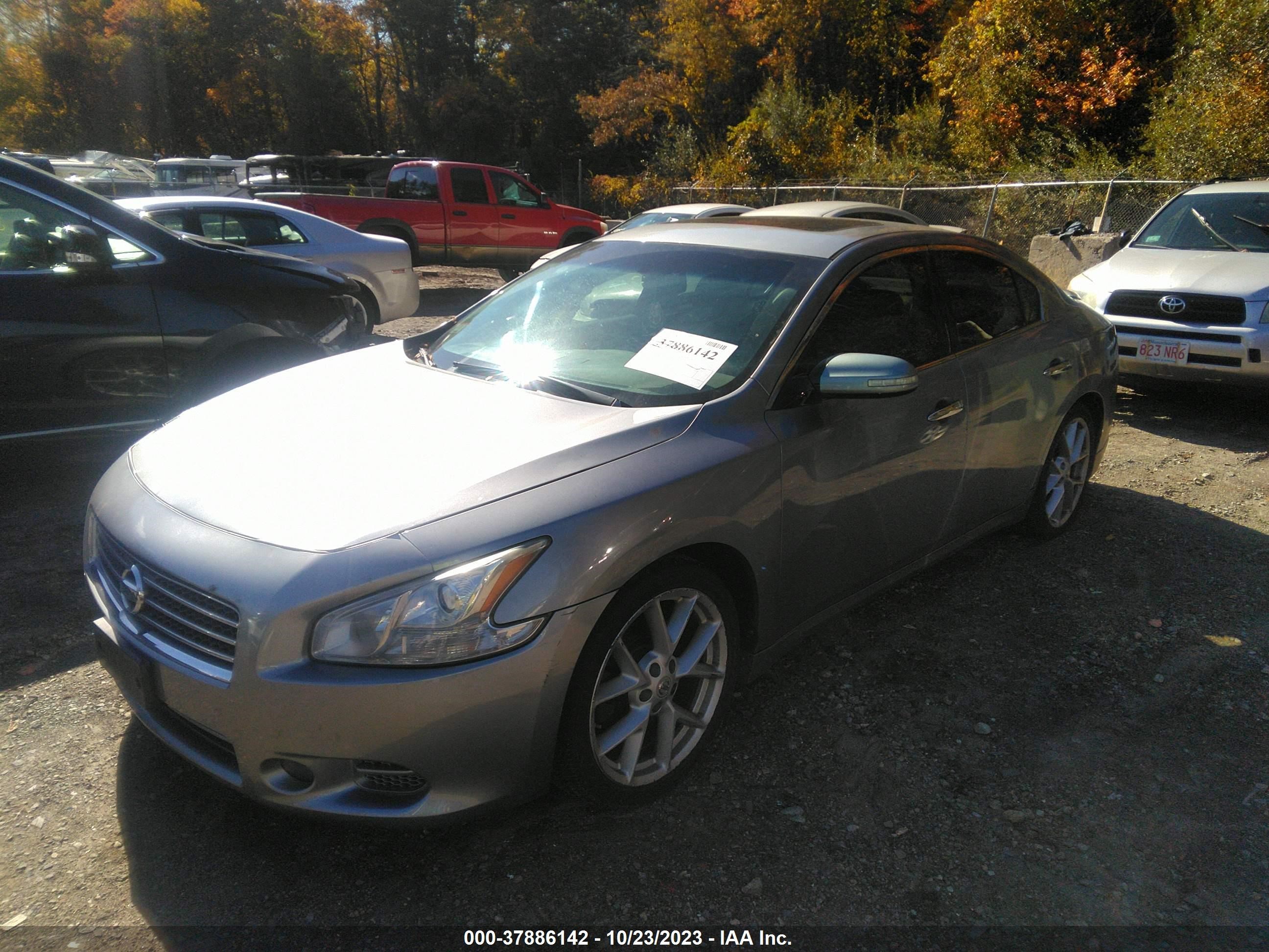 Photo 1 VIN: 1N4AA51E59C828930 - NISSAN MAXIMA 