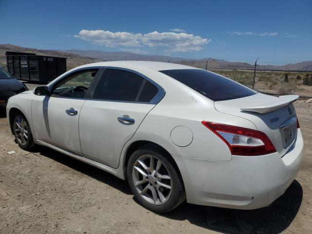 Photo 1 VIN: 1N4AA51E59C835859 - NISSAN MAXIMA 