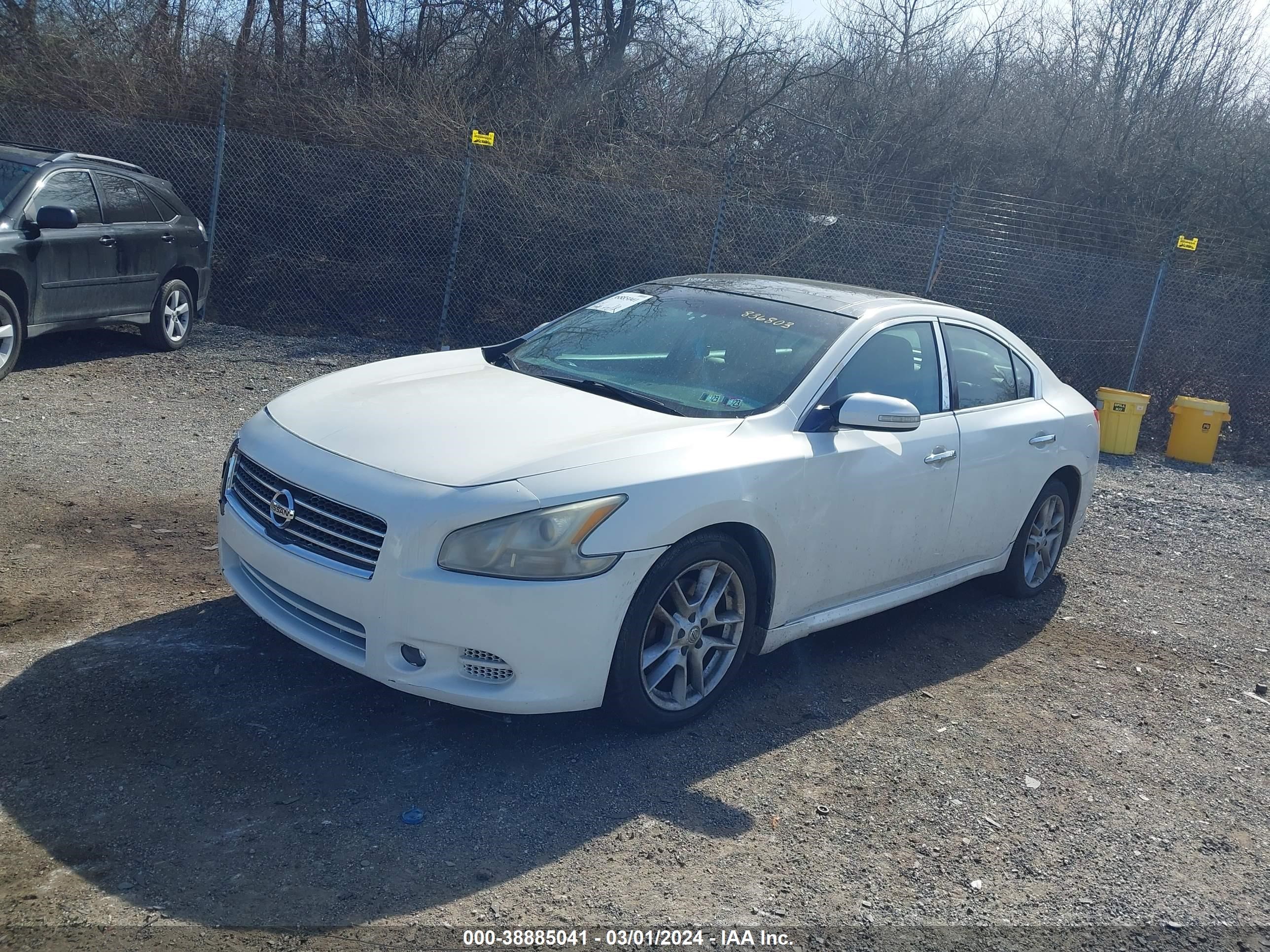 Photo 1 VIN: 1N4AA51E59C836803 - NISSAN MAXIMA 