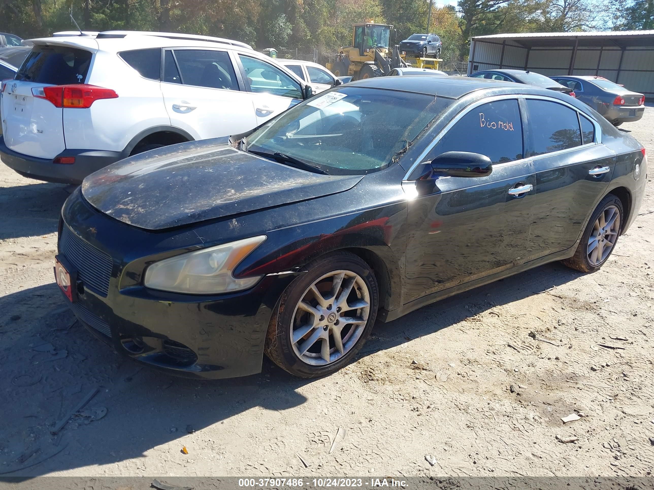 Photo 1 VIN: 1N4AA51E59C857019 - NISSAN MAXIMA 