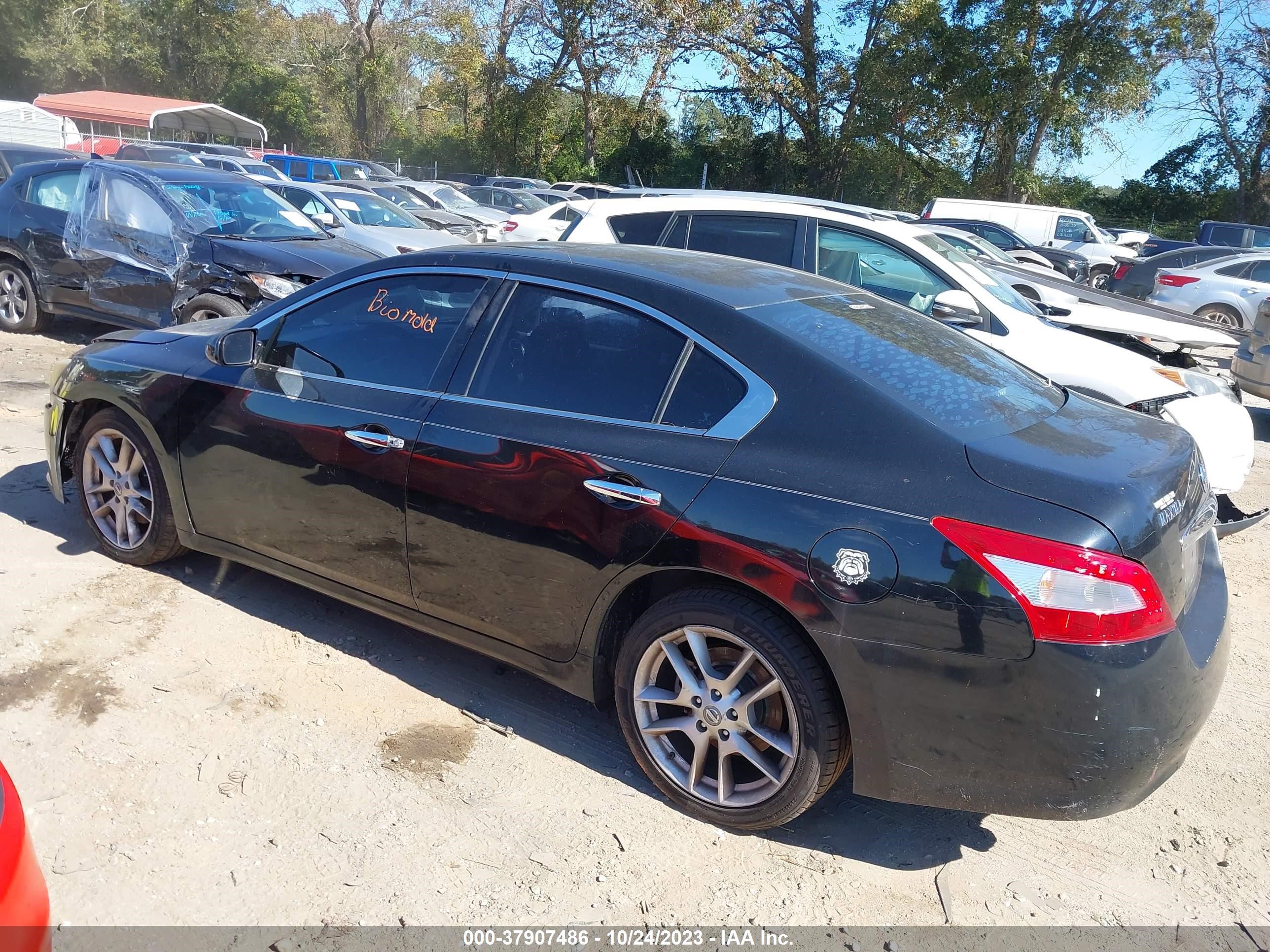 Photo 2 VIN: 1N4AA51E59C857019 - NISSAN MAXIMA 