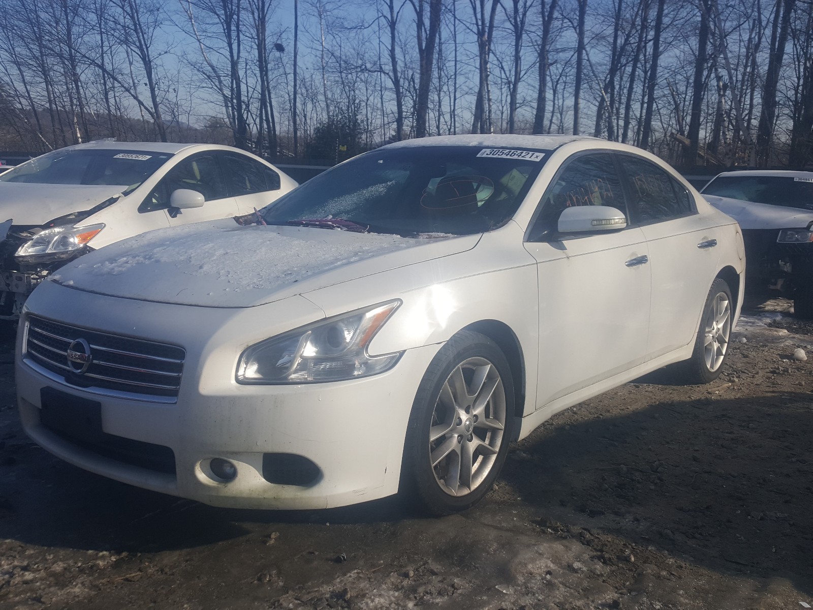 Photo 1 VIN: 1N4AA51E69C801171 - NISSAN MAXIMA S 