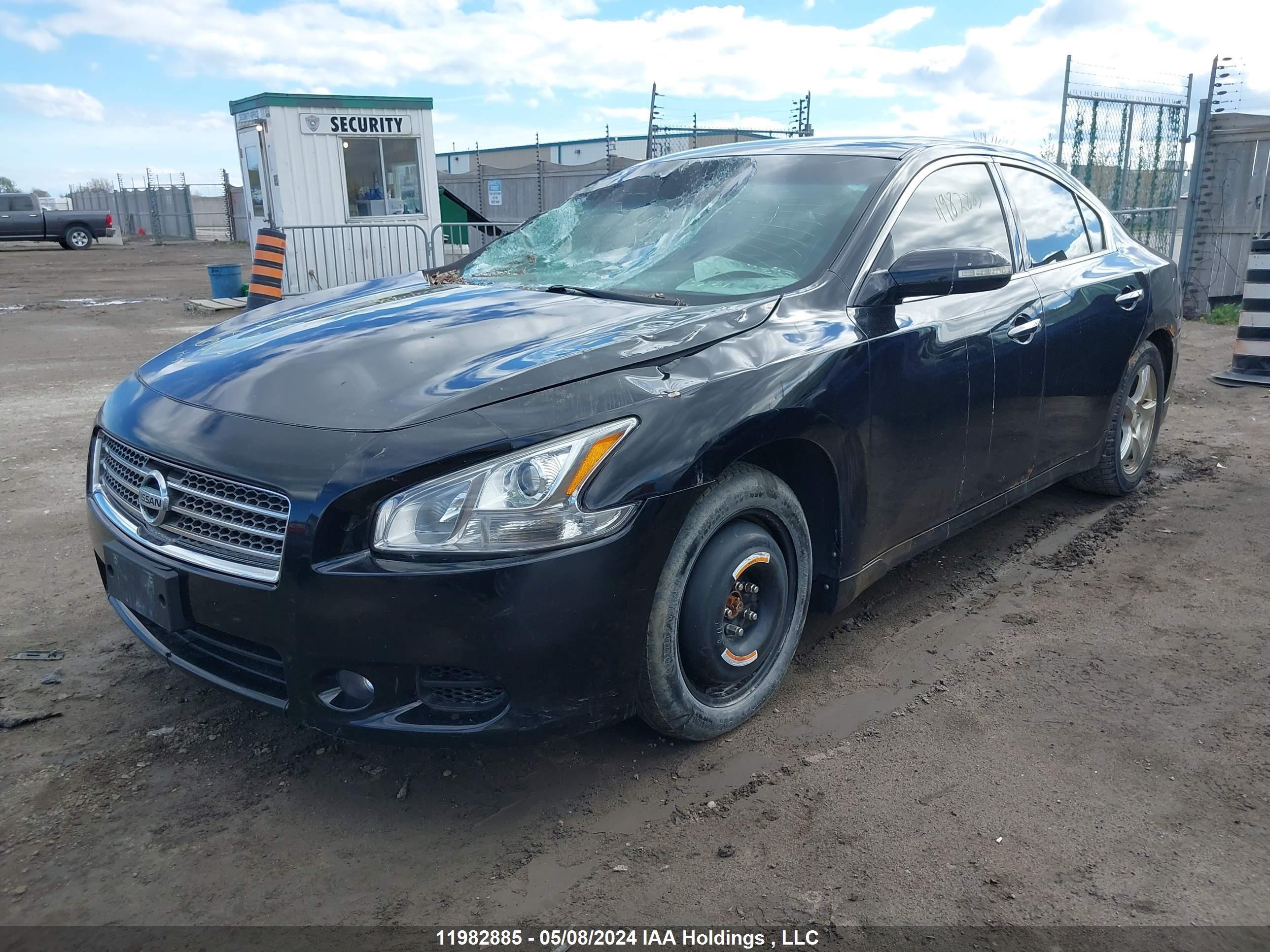 Photo 1 VIN: 1N4AA51E69C821999 - NISSAN MAXIMA 