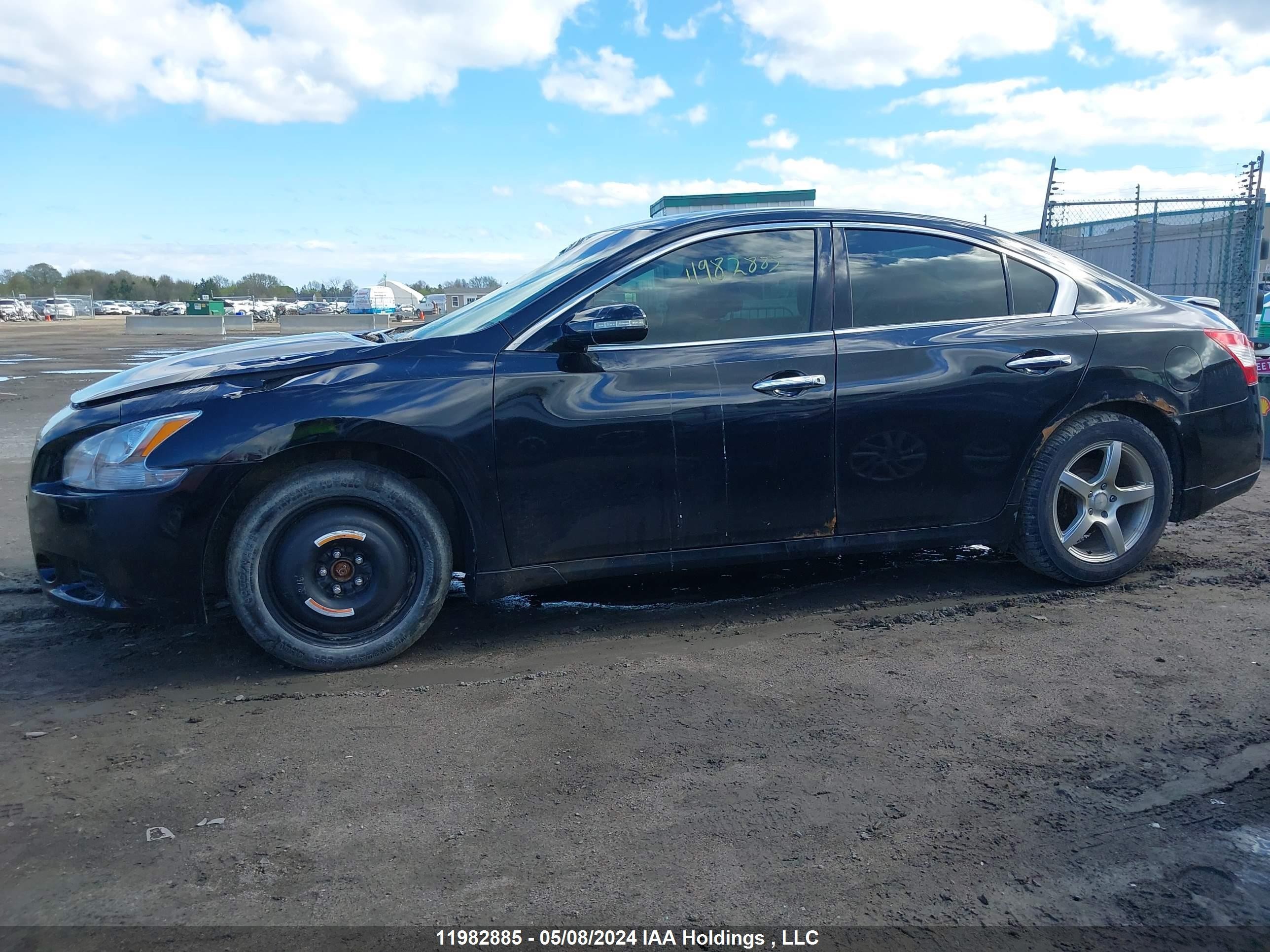 Photo 13 VIN: 1N4AA51E69C821999 - NISSAN MAXIMA 