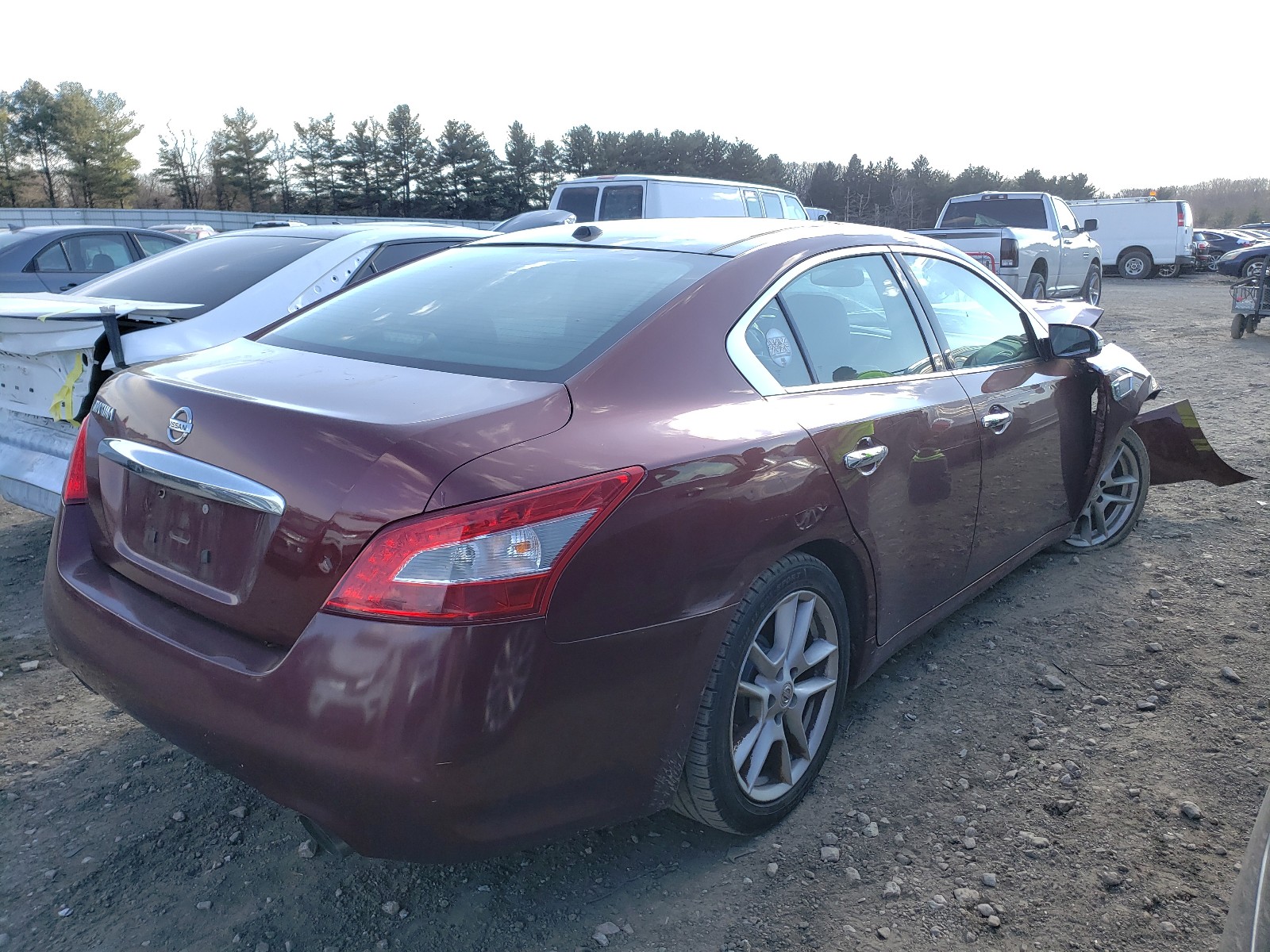 Photo 3 VIN: 1N4AA51E69C828757 - NISSAN MAXIMA S 