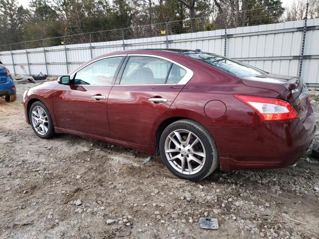 Photo 1 VIN: 1N4AA51E69C847924 - NISSAN MAXIMA 